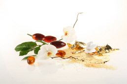 Endorfina City SPA odnowa biologiczna ekskluzywne zabiegi Krak�w